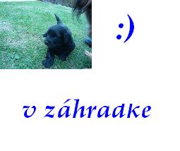 v záhradke.jpg