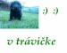 este raz v záhradke.jpg